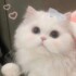 Profile picture of Suna