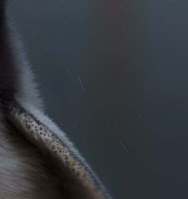 Profile picture of Crazzyboy