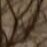 Profile picture of Hunter00