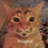 Profile picture of Alex