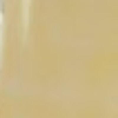 Profile picture of Shamima mcbill
