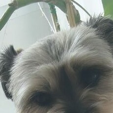 Profile picture of Luna