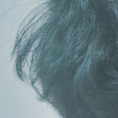 Profile picture of Shiro