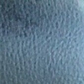 Profile picture of Shadow