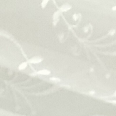Profile picture of Milad