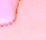 Profile picture of Collins