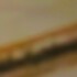 Profile picture of Lydiano