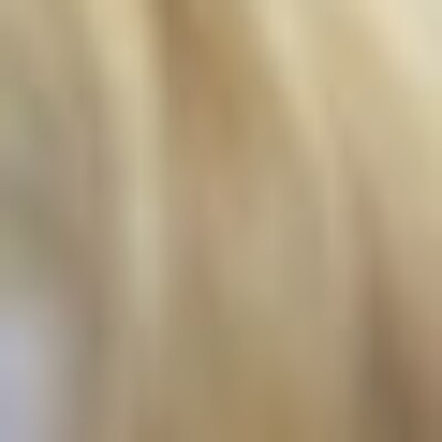 Profile picture of jamesanna717@gmail.com