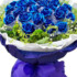 Profile picture of halimaralkhidralsaim@gmail.com
