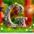 Profile picture of jabiransariansari772@gmail.com