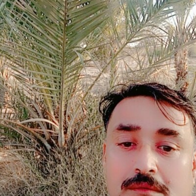 Profile picture of Li