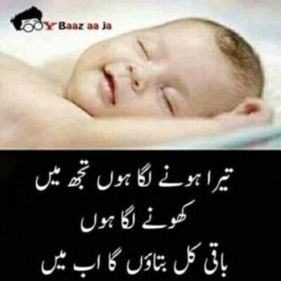 Profile picture of hamid asif