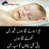 Profile picture of hamid asif