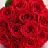 Profile picture of hanyhany50