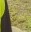 Profile picture of Djamel