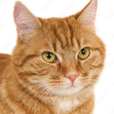 Profile picture of drukda