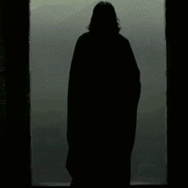 Profile picture of Waji