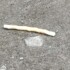 Profile picture of Tulonerk
