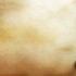Profile picture of tester