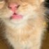 Profile picture of ahero1727@gmail.com