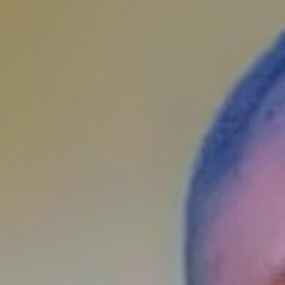 Profile picture of allianceshobayo@gmail.com
