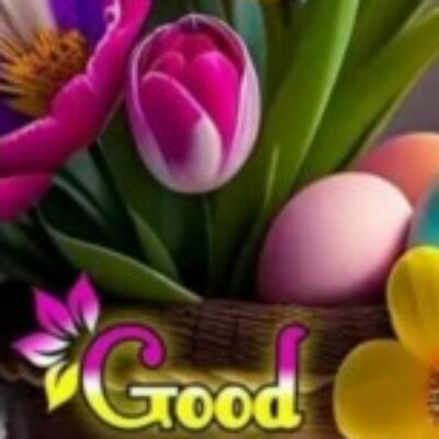 Profile picture of desaibhikhalal2@gmail.com