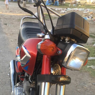 Profile picture of MALIK