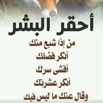Profile picture of ابحث زوجه