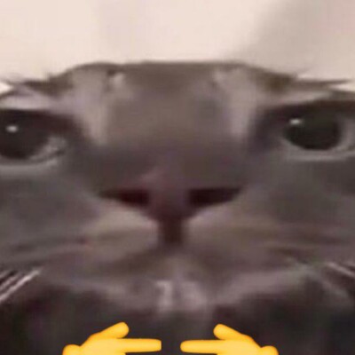 Profile picture of sss