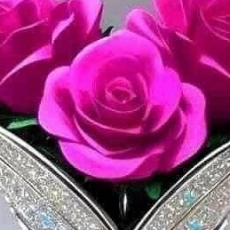 Profile picture of Afaq
