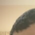 Profile picture of ahmed