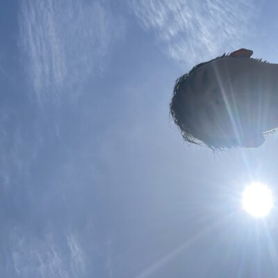 Profile picture of RM