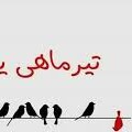 Profile picture of امیرحسین