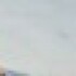 Profile picture of saidmuqtar805@gmail.com
