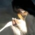 Profile picture of Sweety