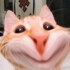 Profile picture of Jabal