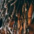 Profile picture of djdalo