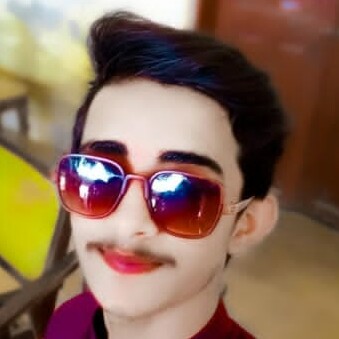 Profile picture of Hassnain