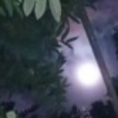 Profile picture of minajulIslamshahed@gmail.com