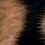 Profile picture of Mights
