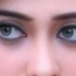 Profile picture of Shan