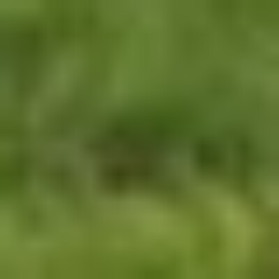 Profile picture of robertsan142@gmail.com