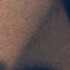 Profile picture of Ghint