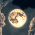 Profile picture of noperlapa@gmail.com