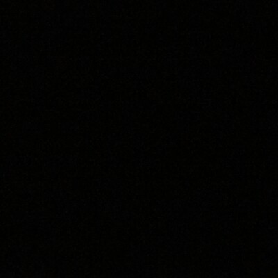 Profile picture of Andie