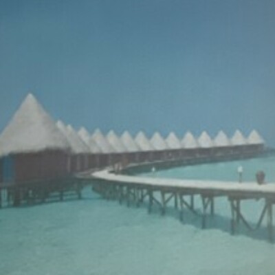 Profile picture of carisha1113@gmail.com