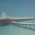 Profile picture of carisha1113@gmail.com