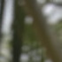Profile picture of Richmond Boateng