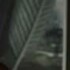 Profile picture of Power_midget