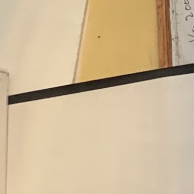 Profile picture of Guy guy